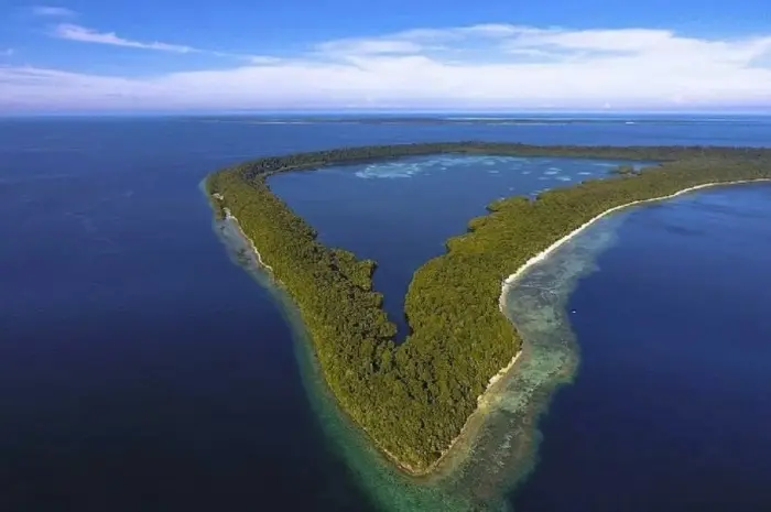 Pulau Kakaban, Danau Unik Dihutan Tropis yang Asri di Kalimantan Timur
