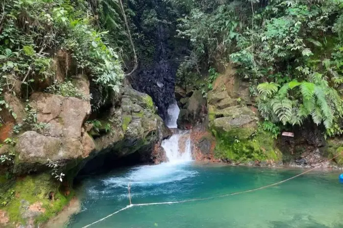 Destinasi Wisata Alam di Bogor