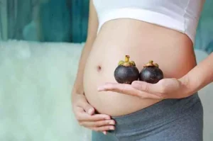 Manfaat Luar Biasa Manggis untuk Ibu Hamil